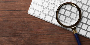 Web search for web traffic changes