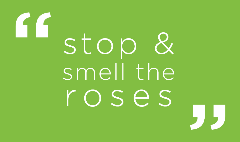 stop and smell the roses quote